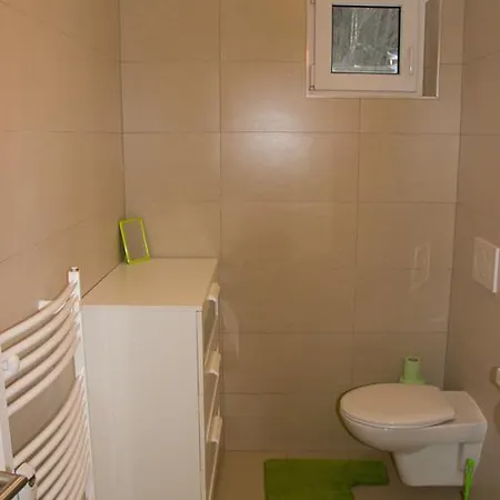 Apartman V Zeleni Dolni Morava Room photo