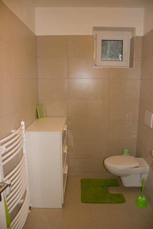 V Zeleni Apartment